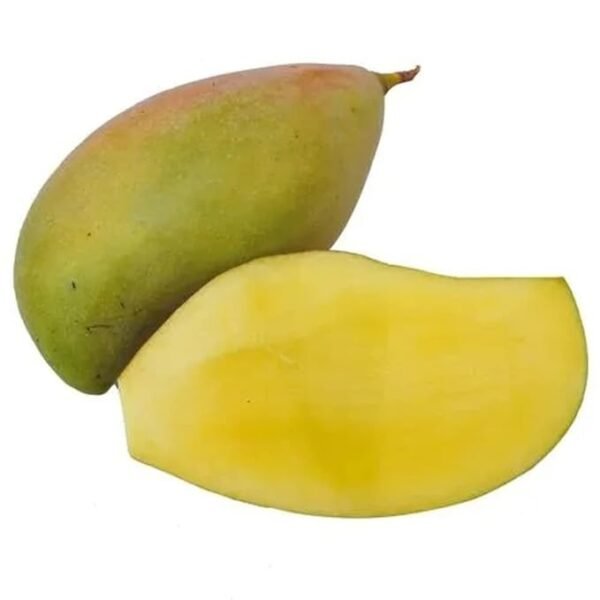 Fresh Mango, Totapuri, Semi Ripe 1 kg - Image 3