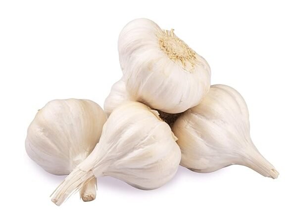 Fresh Organic Garlic Loose - Image 2