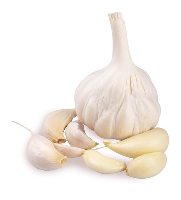 Fresh Organic Garlic Loose