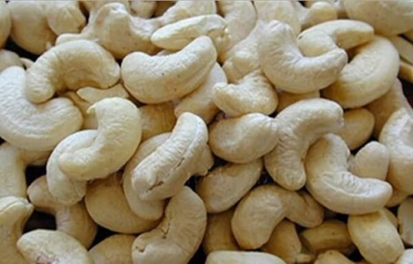 100% Natural Fresh raw Organic Cashew Nuts kaju Cashews Whole cashewnuts జీడీ పప్పు(jidi pappu)-500gm Grams - Image 2