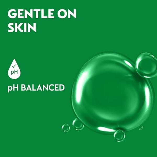 Dettol Liquid Handwash Refill – Skincare Hand Wash- 1500ml | pH Balanced | 10x Better Germ Protection - Image 4